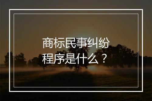 商标民事纠纷程序是什么？