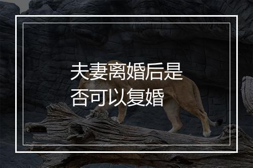 夫妻离婚后是否可以复婚