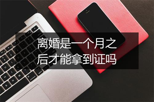 离婚是一个月之后才能拿到证吗