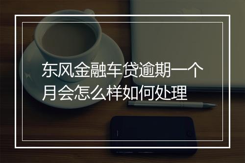 东风金融车贷逾期一个月会怎么样如何处理