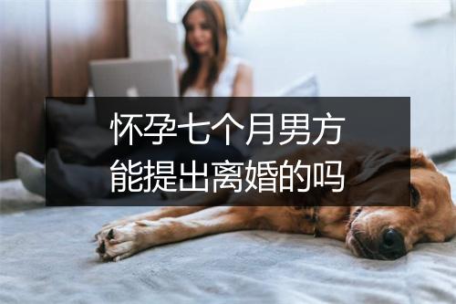 怀孕七个月男方能提出离婚的吗