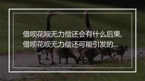 借呗花呗无力偿还会有什么后果,借呗花呗无力偿还可能引发的严重后果