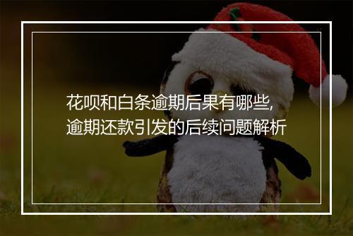 花呗和白条逾期后果有哪些,逾期还款引发的后续问题解析