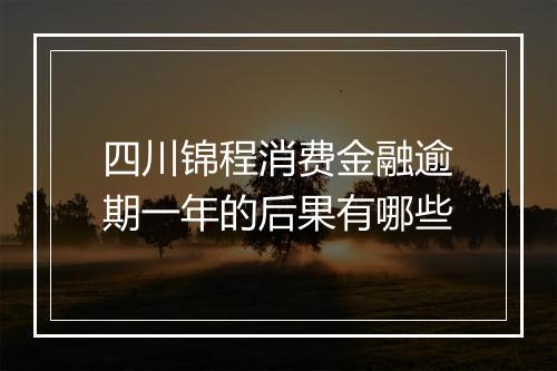四川锦程消费金融逾期一年的后果有哪些