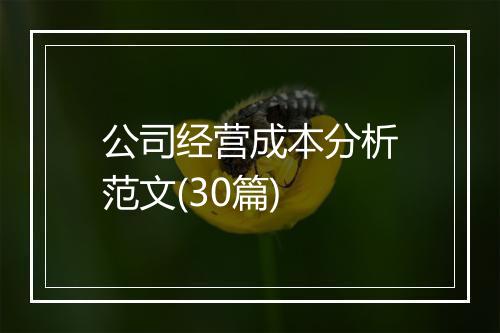 公司经营成本分析范文(30篇)