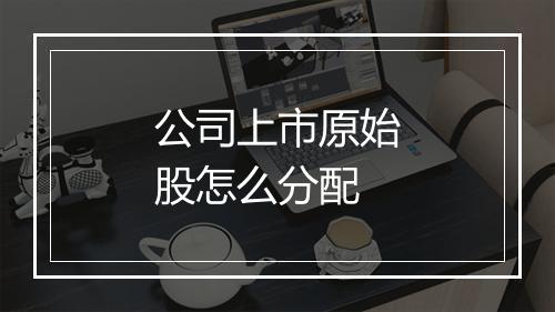 公司上市原始股怎么分配