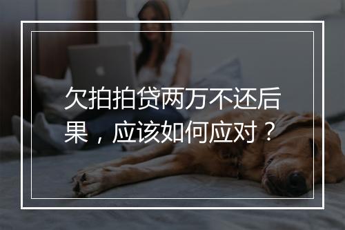欠拍拍贷两万不还后果，应该如何应对？