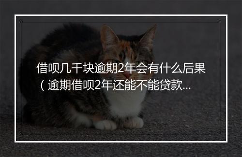 借呗几千块逾期2年会有什么后果（逾期借呗2年还能不能贷款）