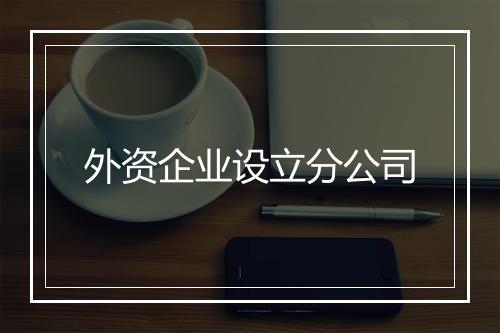 外资企业设立分公司