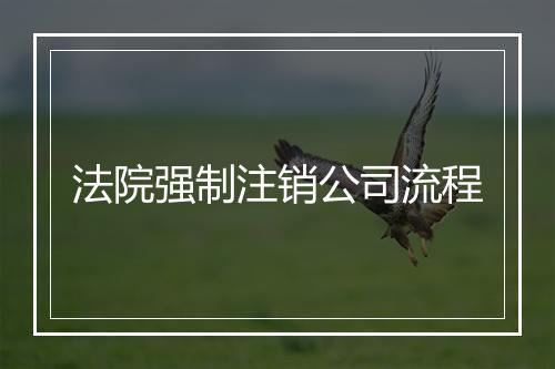 法院强制注销公司流程