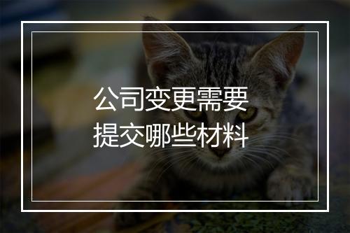 公司变更需要 提交哪些材料