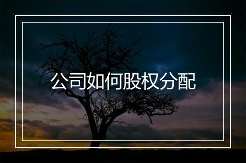 公司如何股权分配