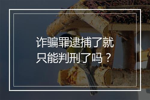 诈骗罪逮捕了就只能判刑了吗？