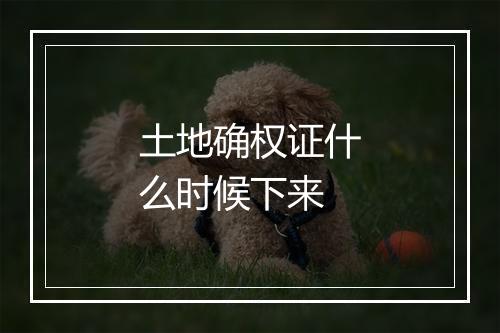土地确权证什么时候下来