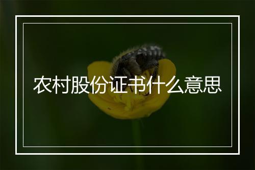 农村股份证书什么意思