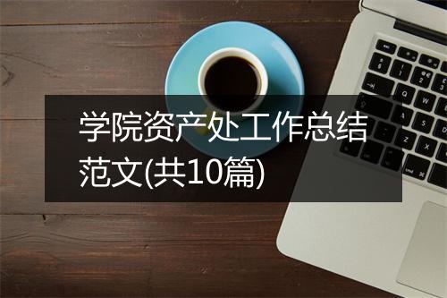 学院资产处工作总结范文(共10篇)