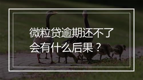 微粒贷逾期还不了会有什么后果？