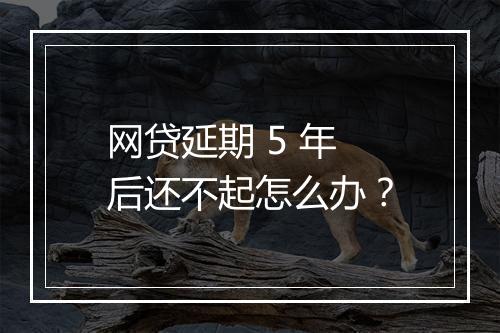 网贷延期 5 年后还不起怎么办？