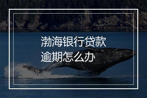 渤海银行贷款逾期怎么办