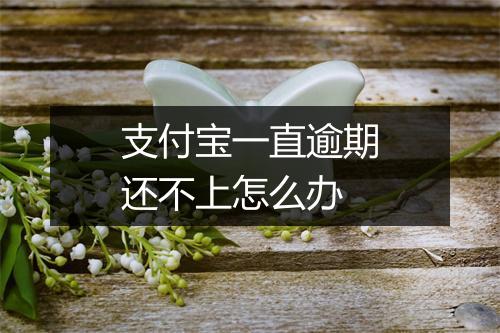 支付宝一直逾期还不上怎么办