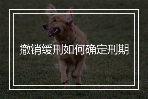 撤销缓刑如何确定刑期