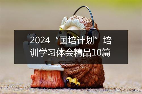 2024“国培计划”培训学习体会精品10篇