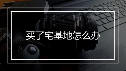 买了宅基地怎么办
