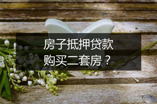 房子抵押贷款购买二套房？