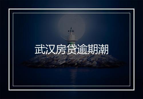 武汉房贷逾期潮
