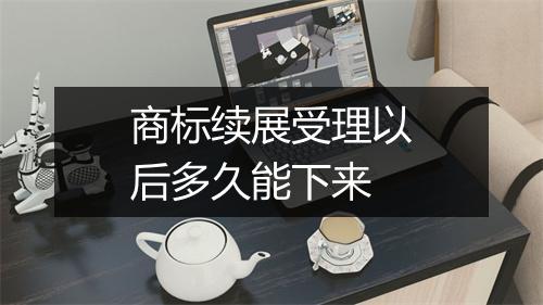 商标续展受理以后多久能下来