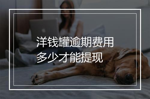 洋钱罐逾期费用多少才能提现
