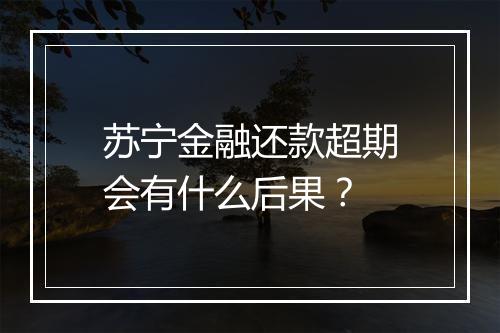 苏宁金融还款超期会有什么后果？