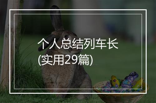 个人总结列车长(实用29篇)