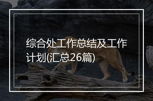 综合处工作总结及工作计划(汇总26篇)