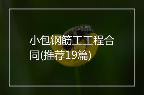 小包钢筋工工程合同(推荐19篇)