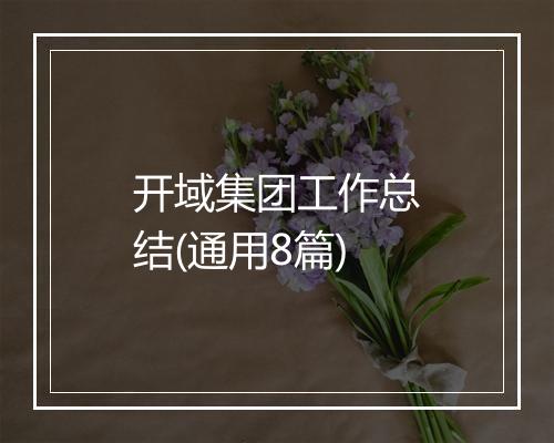 开域集团工作总结(通用8篇)