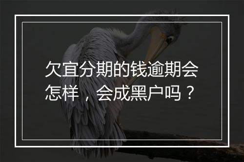 欠宜分期的钱逾期会怎样，会成黑户吗？