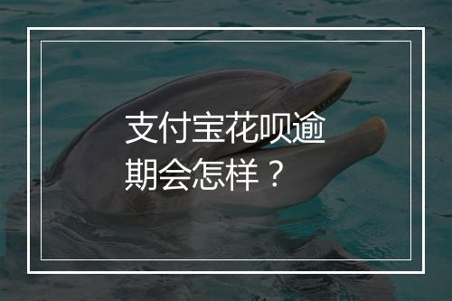 支付宝花呗逾期会怎样？