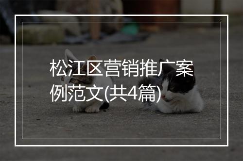 松江区营销推广案例范文(共4篇)