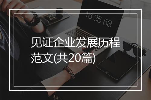 见证企业发展历程范文(共20篇)