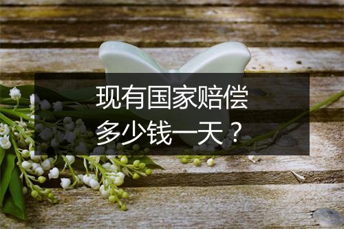 现有国家赔偿多少钱一天？