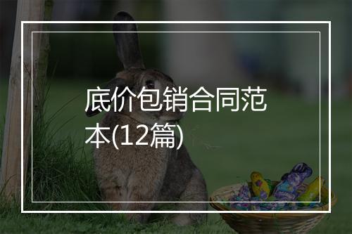 底价包销合同范本(12篇)