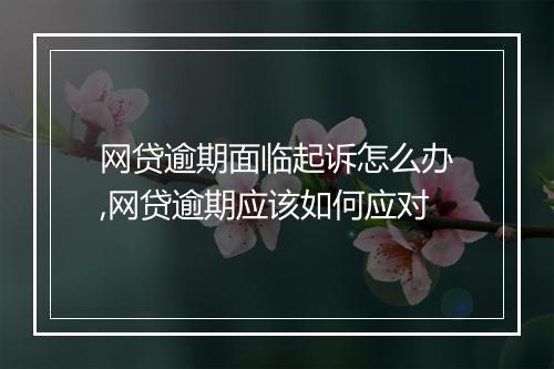 网贷逾期面临起诉怎么办,网贷逾期应该如何应对