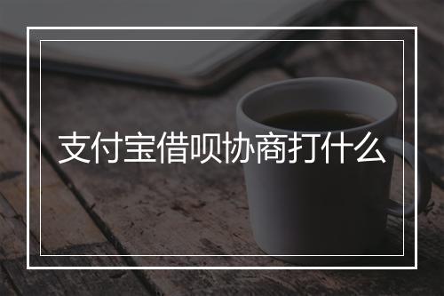 支付宝借呗协商打什么