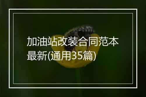加油站改装合同范本最新(通用35篇)