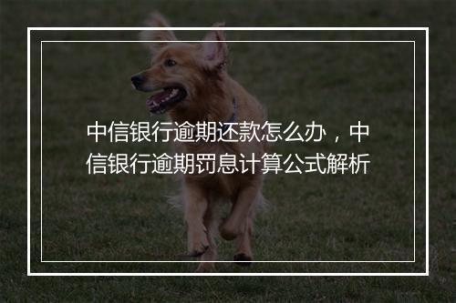 中信银行逾期还款怎么办，中信银行逾期罚息计算公式解析