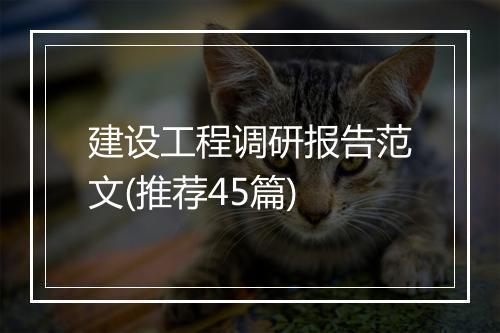 建设工程调研报告范文(推荐45篇)