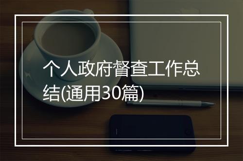 个人政府督查工作总结(通用30篇)