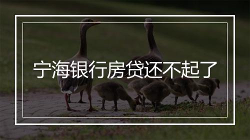 宁海银行房贷还不起了