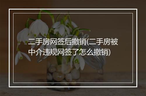 二手房网签后撤销(二手房被中介违规网签了怎么撤销)